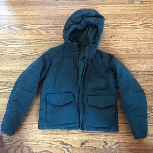 Everlane Puffer Coat Dark Green XS